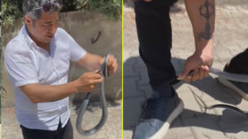 Yılancı Kemal bu sefer sert kayaya çarptı! Panik anları kamerada
