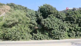 Hatay'da dehşet! Koku ihbarına giden ekipler incir ağacına asılı halde buldu!
