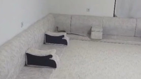Evi havalandırmak için pencereyi açan aile kabusu yaşadı! Bir anda koltukta belirdi