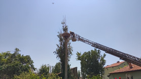 Gökyüzündeki özgürlüğü ipe dolandı: Yardımına itfaiye yetişti