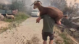 Yangında hayvanlarını kaybeden çiftçilere destek