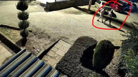 Kan donduran koca dehşeti! Kucağında çocuğu varken katledildi!