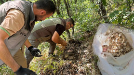 Tunceli'de 'Kırmızı Kitabı' ihlal ettiler: 2 milyon TL ceza yediler