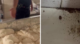 Hatay'daki bir fırında mide bulandıran görüntüler: Hamam böcekli, izmaritli ekmek üretimi