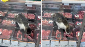 Zincir markette mide bulandıran görüntü: O sözler pahalıya patladı