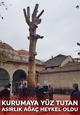 Safranbolu'da kurumaya yüz tutan 350 yıllık ağacı heykele dönüştürdüler