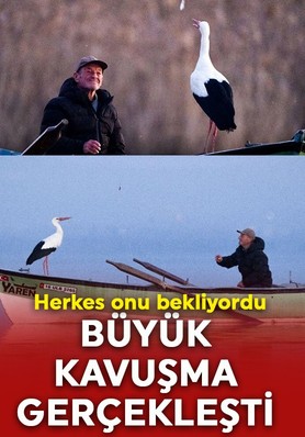 Beklenen kavuşma gerçekleşti! Yaren leylek geldi!