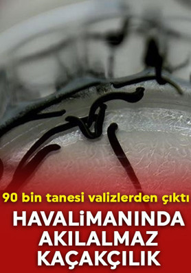 Havalimanında akılalmaz kaçakçılık: Valizlerden 90 bin sülük çıktı