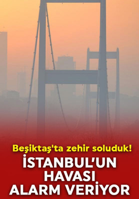 İstanbul'da Şubat'ta hava kirliliği  yüzde 9 fırladı: Beşiktaş'ta zehir soluduk, Beylikdüzü nefes aldı