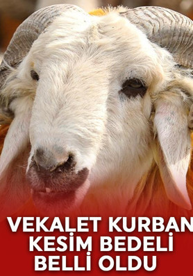 Vekaletle kurban kesim bedeli belli oldu