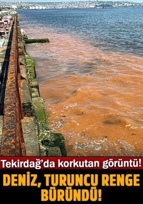 Tekirdağ sahilinde korkutan görüntü! Deniz turuncu renge büründü
