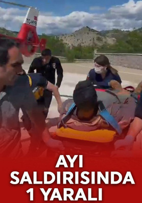 Tunceli'de ayı saldırısı: Yaralı vatandaş helikopterle kurtarıldı