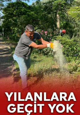Yaz öncesi kritik çalışma! Belediye harekete geçti! Yılan ve haşerelere geçit yok