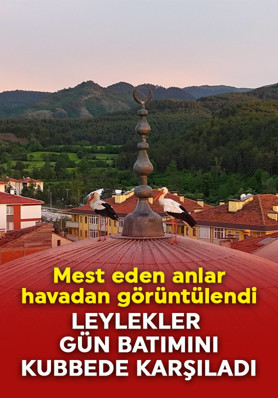 Leylekler gün batımını cami kubbesinde karşıladı: Mest eden anlar havadan görüntülendi