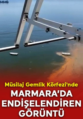 Marmara'da endişelendiren görüntü: Müsilaj Gemlik Körfezi'nde