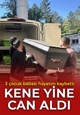 Sivas'ta bir acı haber daha! Kene kabusu 3 çocuk babasını buldu