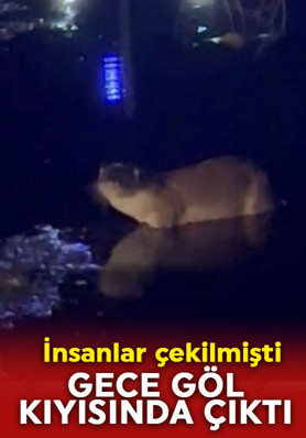 Gece göl kıyısında ortaya çıktı