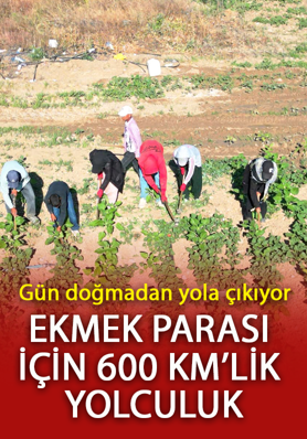 Şanlıurfa'da ekmek parası için 600 kilometrelik yolculuk