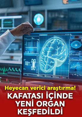 ABD’de heyecan verici araştırma! Kafatası içinde gizlenmiş yeni organ keşfedildi