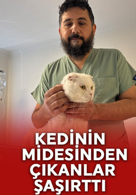 Evcil hayvan sahiplerine kritik uyarı: Ölümcül olabilir