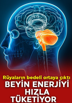 Gözlerinizi kapattığınızda başlıyor! 50 saniye kala hazırlık yapılıyor: Canlı rüyalar beyni böyle bitiriyor