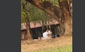 Genç çift parkta gündüz saatlerinde cinsel ilişkiye girdi - Resim: 3