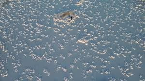 Türkiye'de ailelerimizin sofrasındaki baş düşman! Kulağından tutup evden dışarı atın - Resim: 7