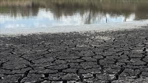 Kötü haber verildi! Dünyanın son 1  günü sadece bu besinleri yemek zorundayız - Resim: 95
