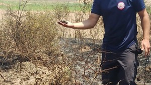 Son Dakika: İtfaiye ekipleri serçeye can oldu