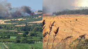 Son Dakika: Çanakkale’de orman yangını