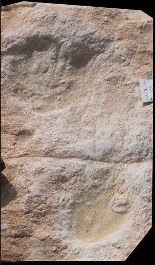 115.000 yıllık 7 tane izi peş peşe araştırmacılar gördü... Acilen tüm dünyaya haber verildi. Çamurdaki detay insanlık tarihini yeniden yazacak - Resim: 3