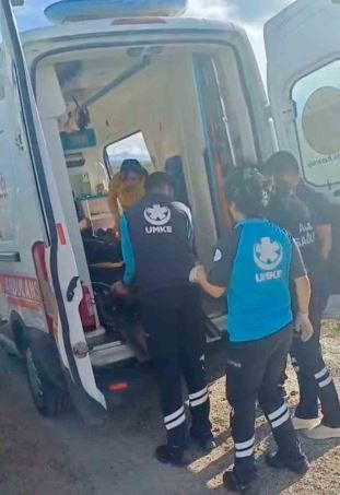 Kars’ta 200'lerce koyunu otlatmaya çıkaran çoban kayalıklara doğru gittiğinde korkunç bir şey oldu. 200'lerce bir anda kafasını aynı anda kayalıklara çevirdi - Resim: 6