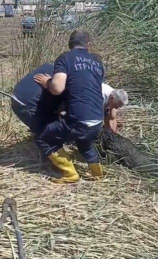Hatay'da 2 tane koyun alan vatandaş koyunları bahçeye bıraktı. Daha sonra çıkıp 2 tane koyuna baktığında gördüğü manzara ile resmen titreme geçirdi - Resim: 2