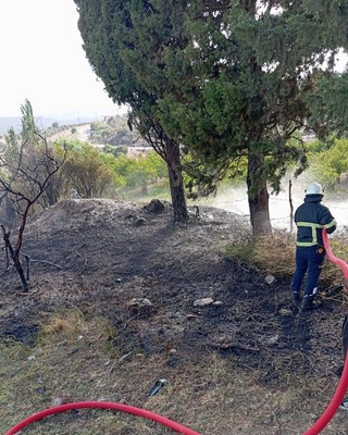 Hatay'da alevlerin arasında kalan hayvan cayır cayır yanacaktı. Son anda müthiş bir şey oldu - Resim: 1