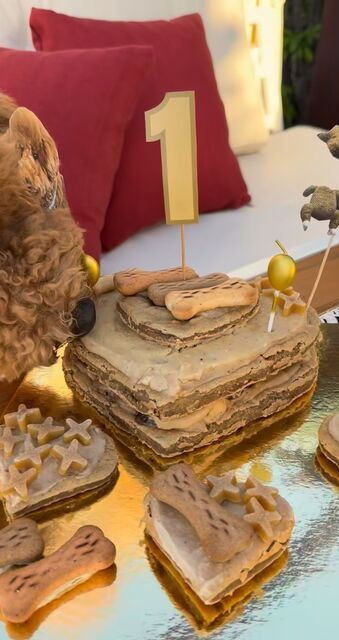 Nesrin Cavadzade'den patili dostuna sürpriz! Doğum günü partisi düzenledi - Resim: 6