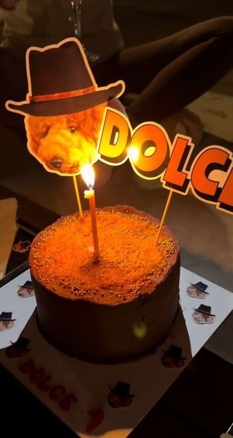 Nesrin Cavadzade'den patili dostuna sürpriz! Doğum günü partisi düzenledi - Resim: 5