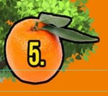 Bize seçtiğiniz meyveyi söyleyin size geleceğinizi söyleyelim! Buyurun teste - Resim: 6
