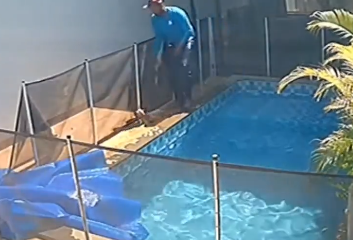 Havuzda boğulmak üzere olan kör köpek, görevlinin kalp masajıyla hayata döndü - Resim: 2