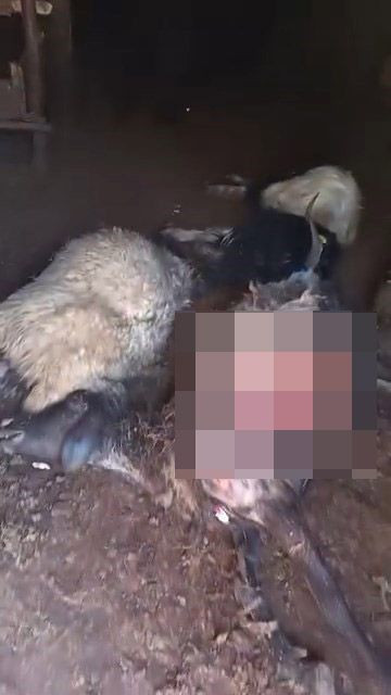 Elazığ'da facia yaşandı! 45 can aynı anda telef oldu - Resim: 1