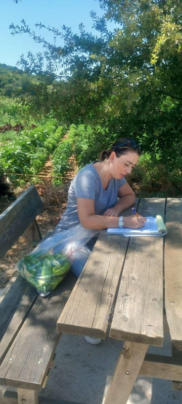 Menteşe’de ürünlerde pestisit kalıntısı kontrolü için hasat öncesi numune alınıyor - Resim: 3