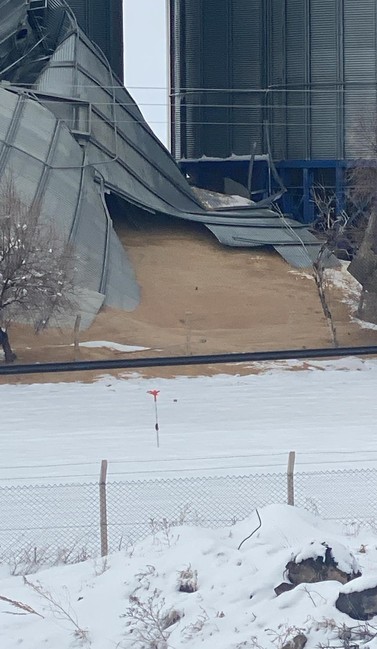 Kayseri'de buğday dolu silo çöktü: Tonlarca buğday yerlere saçıldı - Resim : 1