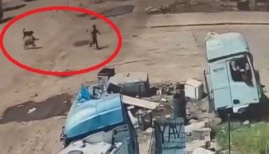 Sokakta korku dolu anlar: Şırnak'ta köpekler küçük çocuğa saldırdı! - Resim: 2