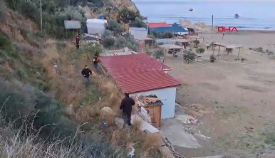 Türkiye'de o hayvan 1. kez görüldü... Normalde Arap topraklarında Filistin'de yaşıyordu. Doğada inanılmaz olay - Resim: 3