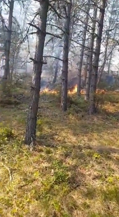 Sinop'ta orman yangını: Bir köy tahliye edildi - Resim : 2