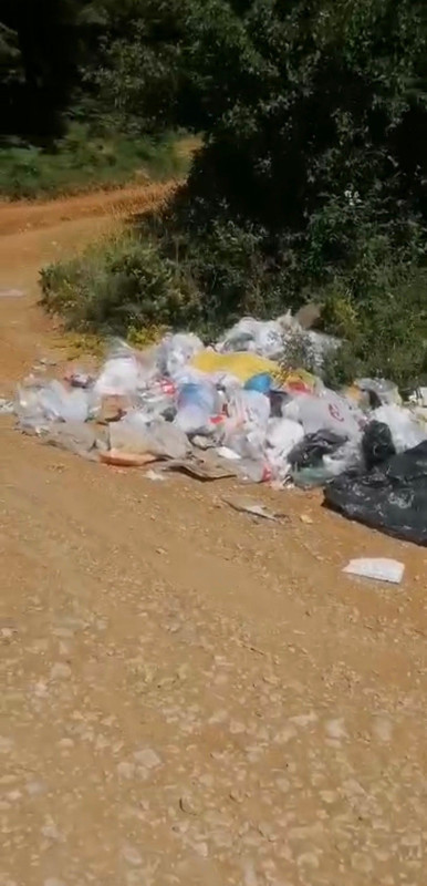 Bolu'da balık tutmak için göl kenarına giden vatandaş, karşılaştığı manzaraya isyan etti - Resim: 2