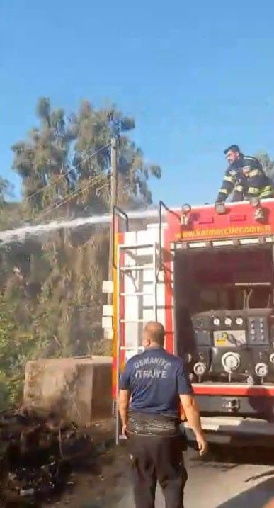 Osmaniye’de orman yangınında mahsur kalan kaplumbağa, suyla hayata tutundu - Resim: 1