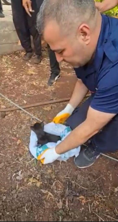 Osmaniye’de 18 metrelik kuyuya düşen yavru kedi için nefes kesen kurtarma operasyonu - Resim: 4