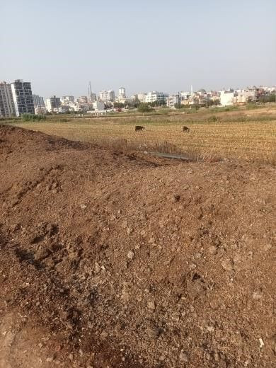 Adana’da kanala dökülen tavuk pisliği mahalleyi yaşanmaz hale getirdi - Resim: 1