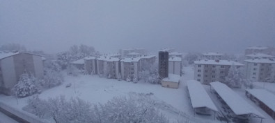 Tatvan'da gerçekleşen şiddetli kar yağışı yaşamı olumsuz etkiledi - Resim : 1