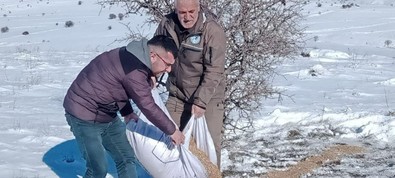 Elazığ'da ayakları kara bata çıka ellerinde 50'şer kiloluk çuvallarla yüksek bölgelere çıktılar. Tek bir amaçları vardı - Resim : 1